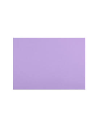 Pliego Cartulina 55x77 Lila